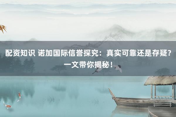 配资知识 诺加国际信誉探究：真实可靠还是存疑？一文带你揭秘！