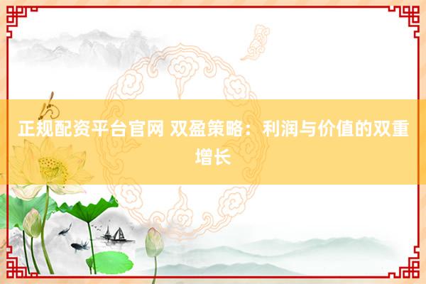 正规配资平台官网 双盈策略：利润与价值的双重增长