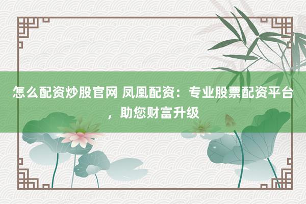 怎么配资炒股官网 凤凰配资：专业股票配资平台，助您财富升级