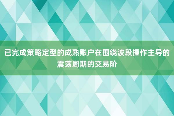 已完成策略定型的成熟账户在围绕波段操作主导的震荡周期的交易阶