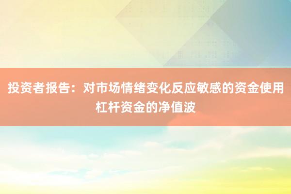 投资者报告：对市场情绪变化反应敏感的资金使用杠杆资金的净值波