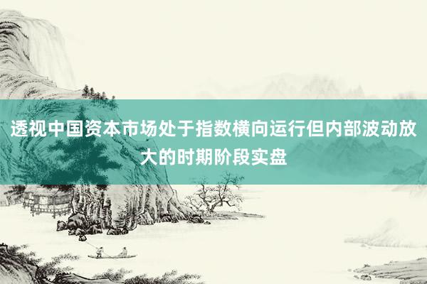透视中国资本市场处于指数横向运行但内部波动放大的时期阶段实盘
