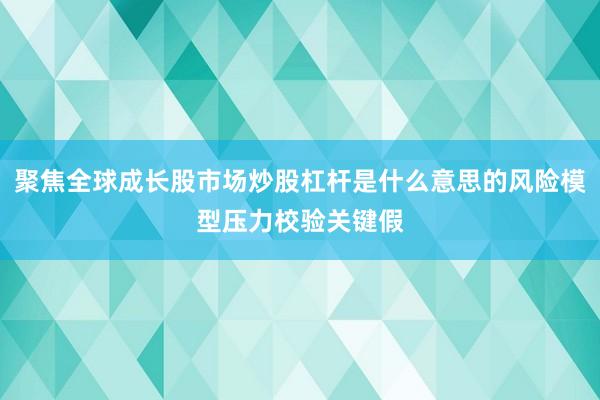 聚焦全球成长股市场炒股杠杆是什么意思的风险模型压力校验关键假