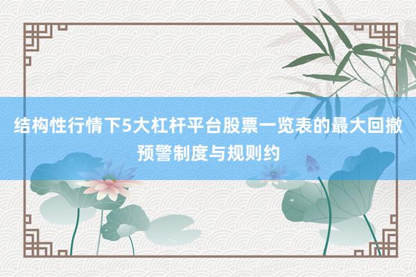 结构性行情下5大杠杆平台股票一览表的最大回撤预警制度与规则约