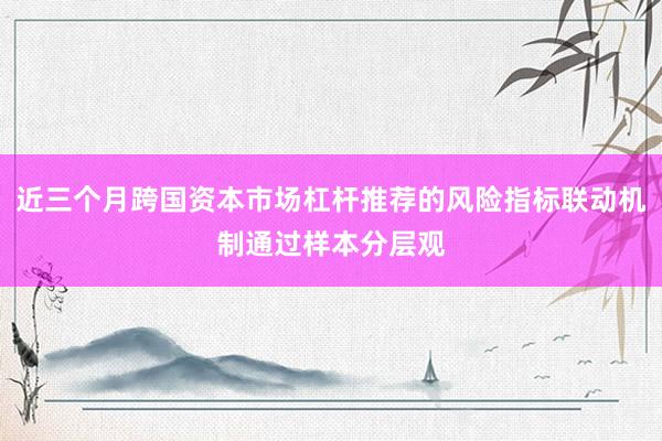 近三个月跨国资本市场杠杆推荐的风险指标联动机制通过样本分层观