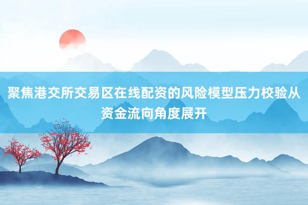 聚焦港交所交易区在线配资的风险模型压力校验从资金流向角度展开