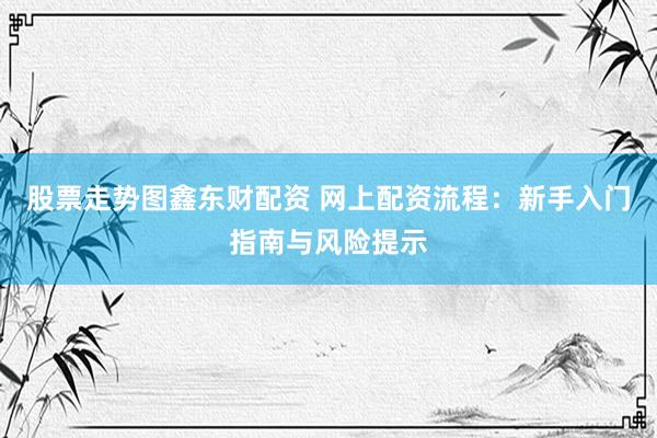 股票走势图鑫东财配资 网上配资流程：新手入门指南与风险提示